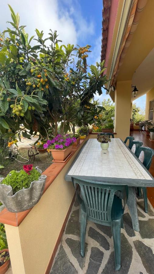La Mansarda Bed & Breakfast Biancareddu Екстериор снимка